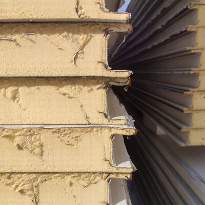 Kwaliteit  Smart White Mushroom Cultivation Container/Smart Shelter with auto setted/PU sandwich panels fabriek