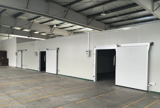 Waterdicht, warmtedicht, geluidsdicht, koud opslaan PU-panelen met 100/150/200 mm