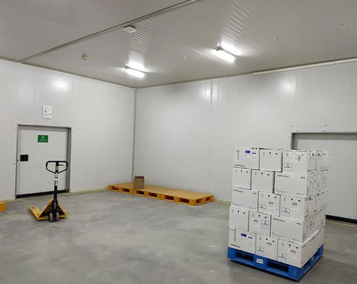 Brandbestendig B1/B2 polyurethaan koudkamerpaneel voor geïsoleerde veilige beveiligde opslag