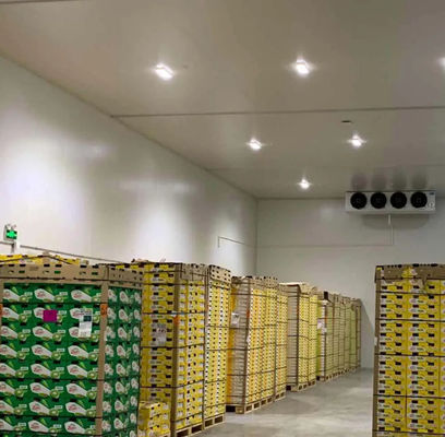 Aanpasbaar koelruimte PU-paneel hoge druksterkte 200kpa en lengte aanpasbaar voor optimale koelprestaties