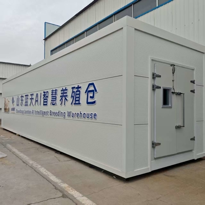 Efficiënte benutting van hulpbronnen Hoge productiviteit Paddestoelenteelt Container