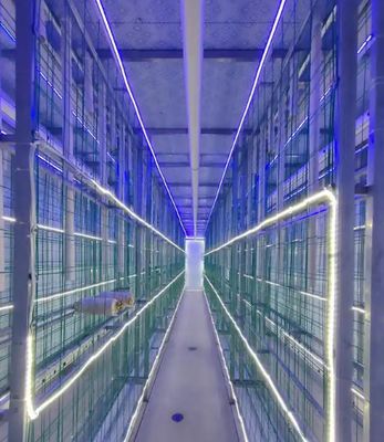 Containerboerderij voor paddenstoelen met beperkt onderhoud met afstandsbewaking en standaardcontainer van 20 of 40 voet