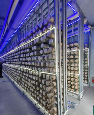 Containerboerderij voor paddenstoelen met beperkt onderhoud met afstandsbewaking en standaardcontainer van 20 of 40 voet