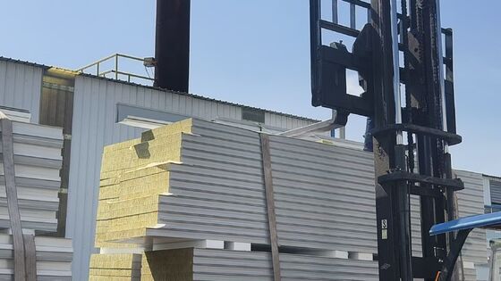 Geluidsisolerend Brandwerend Cleanroom Sandwichpaneel met Aanpasbare Dikte voor Hoge Reinheid Omgevingen