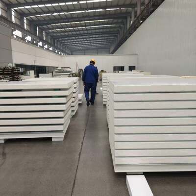 Brandwerend en waterdicht cleanroom sandwichpaneel met aanpasbare dikte voor omgevingen met hoge reinheid