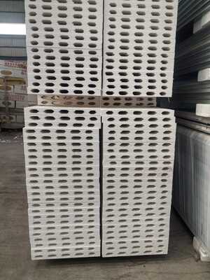 Brandwerend en waterdicht cleanroom sandwichpaneel met aanpasbare dikte voor omgevingen met hoge reinheid