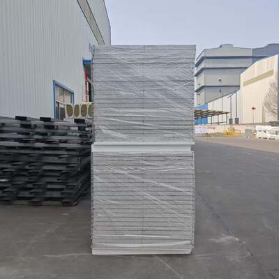 Brandwerend en waterdicht cleanroom sandwichpaneel met aanpasbare dikte voor omgevingen met hoge reinheid