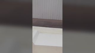 Dakpanelen